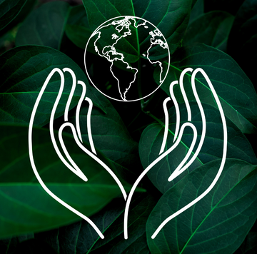 Giving Back Green